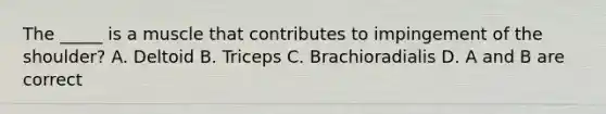 The _____ is a muscle that contributes to impingement of the shoulder? A. Deltoid B. Triceps C. Brachioradialis D. A and B are correct