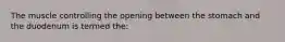 The muscle controlling the opening between the stomach and the duodenum is termed the: