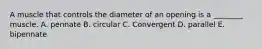 A muscle that controls the diameter of an opening is a ________ muscle. A. pennate B. circular C. Convergent D. parallel E. bipennate