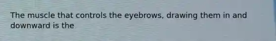 The muscle that controls the eyebrows, drawing them in and downward is the