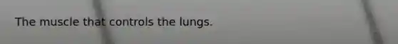 The muscle that controls the lungs.