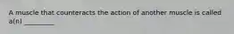 A muscle that counteracts the action of another muscle is called a(n) _________