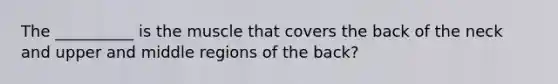 The __________ is the muscle that covers the back of the neck and upper and middle regions of the back?