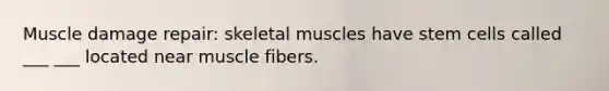 Muscle damage repair: skeletal muscles have stem cells called ___ ___ located near muscle fibers.