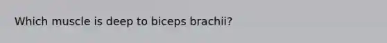 Which muscle is deep to biceps brachii?