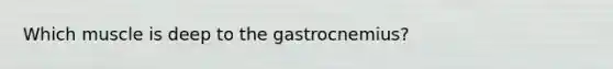 Which muscle is deep to the gastrocnemius?