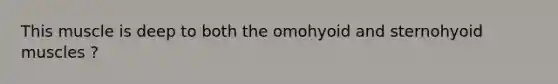 This muscle is deep to both the omohyoid and sternohyoid muscles ?