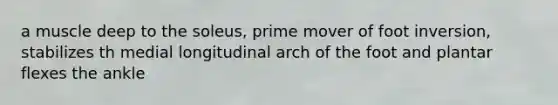 a muscle deep to the soleus, prime mover of foot inversion, stabilizes th medial longitudinal arch of the foot and plantar flexes the ankle