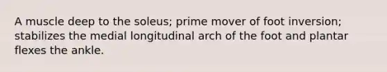 A muscle deep to the soleus; prime mover of foot inversion; stabilizes the medial longitudinal arch of the foot and plantar flexes the ankle.