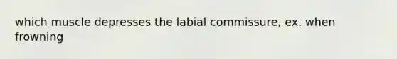 which muscle depresses the labial commissure, ex. when frowning