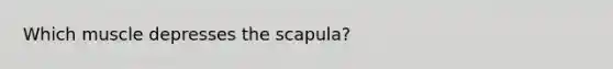 Which muscle depresses the scapula?