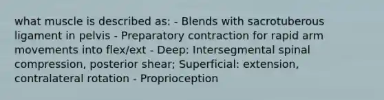 what muscle is described as: - Blends with sacrotuberous ligament in pelvis - Preparatory contraction for rapid arm movements into flex/ext - Deep: Intersegmental spinal compression, posterior shear; Superficial: extension, contralateral rotation - Proprioception