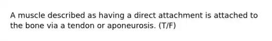 A muscle described as having a direct attachment is attached to the bone via a tendon or aponeurosis. (T/F)