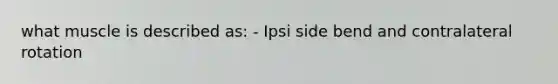 what muscle is described as: - Ipsi side bend and contralateral rotation