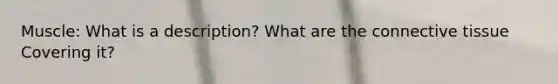 Muscle: What is a description? What are the connective tissue Covering it?