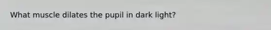 What muscle dilates the pupil in dark light?