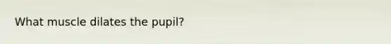 What muscle dilates the pupil?