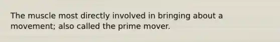 The muscle most directly involved in bringing about a movement; also called the prime mover.