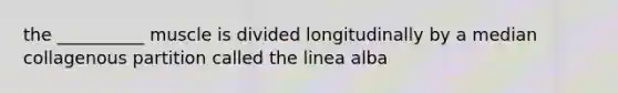 the __________ muscle is divided longitudinally by a median collagenous partition called the linea alba