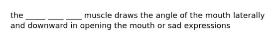 the _____ ____ ____ muscle draws the angle of the mouth laterally and downward in opening the mouth or sad expressions