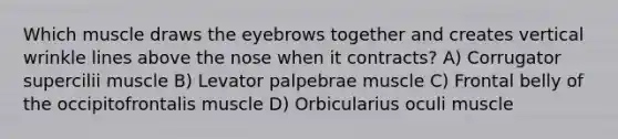 Which muscle draws the eyebrows together and creates vertical wrinkle lines above the nose when it contracts? A) Corrugator supercilii muscle B) Levator palpebrae muscle C) Frontal belly of the occipitofrontalis muscle D) Orbicularius oculi muscle