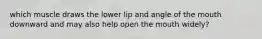 which muscle draws the lower lip and angle of the mouth downward and may also help open the mouth widely?