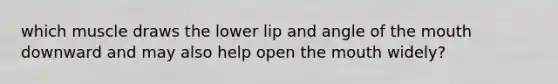 which muscle draws the lower lip and angle of the mouth downward and may also help open the mouth widely?