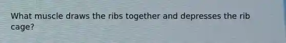 What muscle draws the ribs together and depresses the rib cage?