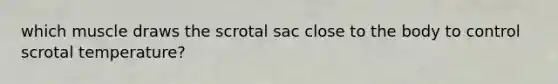 which muscle draws the scrotal sac close to the body to control scrotal temperature?