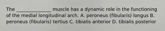 The _______________ muscle has a dynamic role in the functioning of the medial longitudinal arch. A. peroneus (fibularis) longus B. peroneus (fibularis) tertius C. tibialis anterior D. tibialis posterior