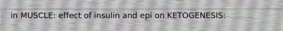 in MUSCLE: effect of insulin and epi on KETOGENESIS: