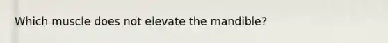 Which muscle does not elevate the mandible?