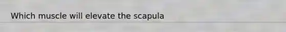 Which muscle will elevate the scapula