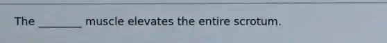 The ________ muscle elevates the entire scrotum.