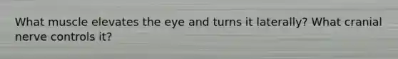 What muscle elevates the eye and turns it laterally? What cranial nerve controls it?