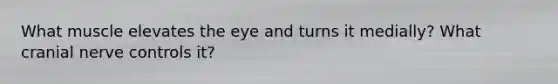 What muscle elevates the eye and turns it medially? What cranial nerve controls it?