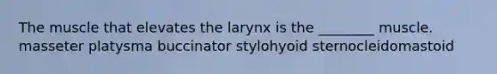 The muscle that elevates the larynx is the ________ muscle. masseter platysma buccinator stylohyoid sternocleidomastoid