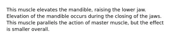 This muscle elevates the mandible, raising the lower jaw. Elevation of the mandible occurs during the closing of the jaws. This muscle parallels the action of master muscle, but the effect is smaller overall.