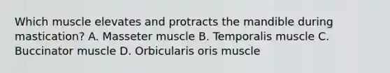 Which muscle elevates and protracts the mandible during mastication? A. Masseter muscle B. Temporalis muscle C. Buccinator muscle D. Orbicularis oris muscle