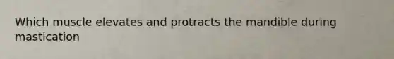 Which muscle elevates and protracts the mandible during mastication