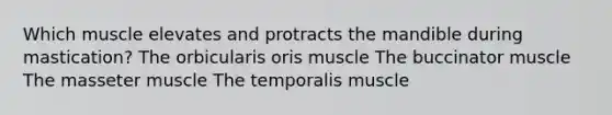 Which muscle elevates and protracts the mandible during mastication? The orbicularis oris muscle The buccinator muscle The masseter muscle The temporalis muscle