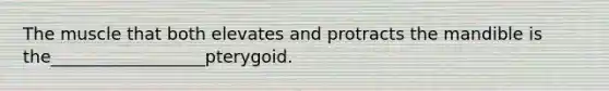 The muscle that both elevates and protracts the mandible is the__________________pterygoid.