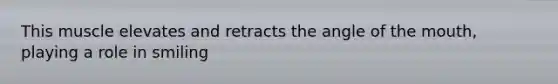 This muscle elevates and retracts the angle of the mouth, playing a role in smiling
