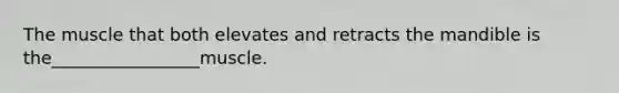 The muscle that both elevates and retracts the mandible is the_________________muscle.