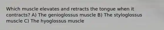 Which muscle elevates and retracts the tongue when it contracts? A) The genioglossus muscle B) The styloglossus muscle C) The hyoglossus muscle