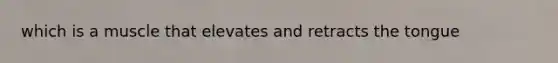 which is a muscle that elevates and retracts the tongue