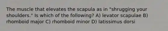 The muscle that elevates the scapula as in "shrugging your shoulders." Is which of the following? A) levator scapulae B) rhomboid major C) rhomboid minor D) latissimus dorsi