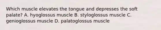 Which muscle elevates the tongue and depresses the soft palate? A. hyoglossus muscle B. styloglossus muscle C. genioglossus muscle D. palatoglossus muscle