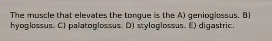 The muscle that elevates the tongue is the A) genioglossus. B) hyoglossus. C) palatoglossus. D) styloglossus. E) digastric.