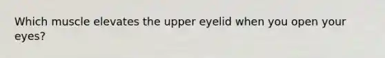 Which muscle elevates the upper eyelid when you open your eyes?